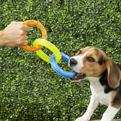 LPW Durable 3-Ring Dog Tug Toy