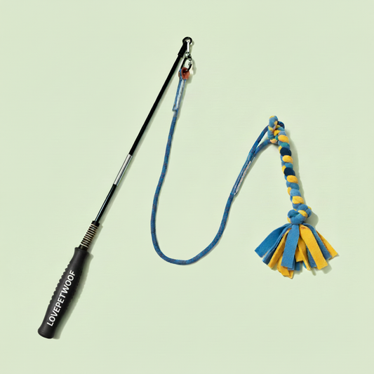LPW Interactive Dog Flirt Pole Training Toy
